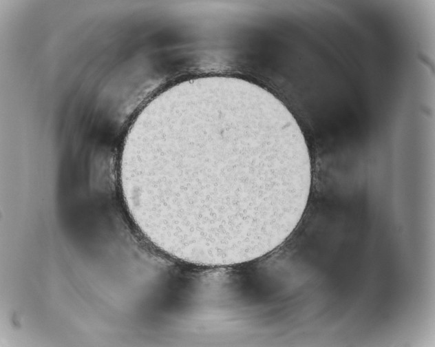X0000103960116200810171910