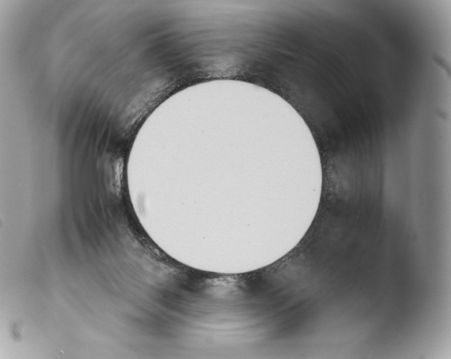X0000103960118200810171910