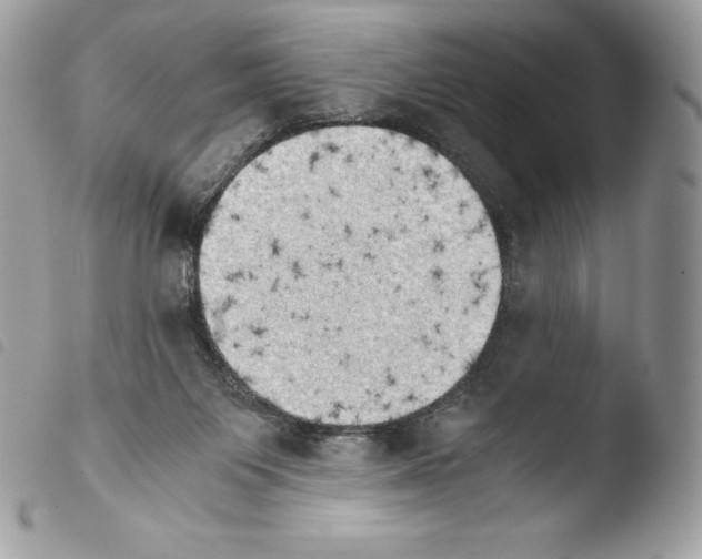 X0000103960119200810171910