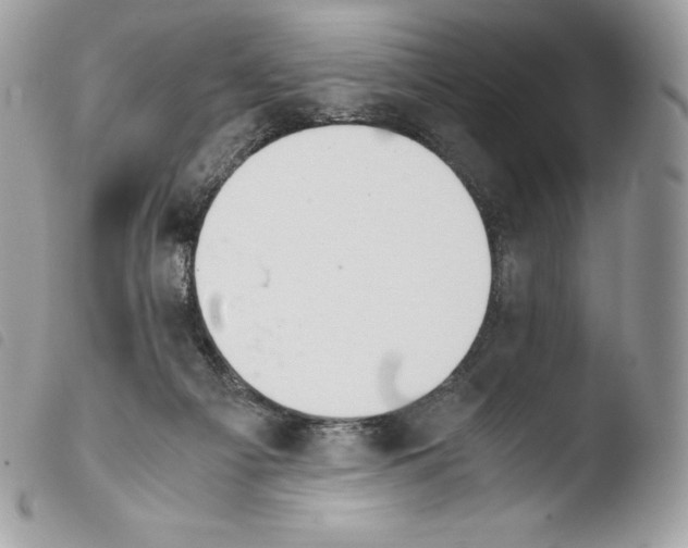 X0000103960121200810171910