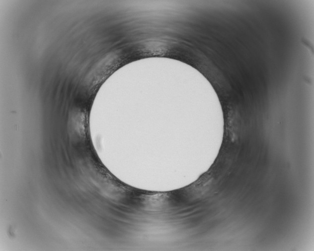 X0000103960122200810171910