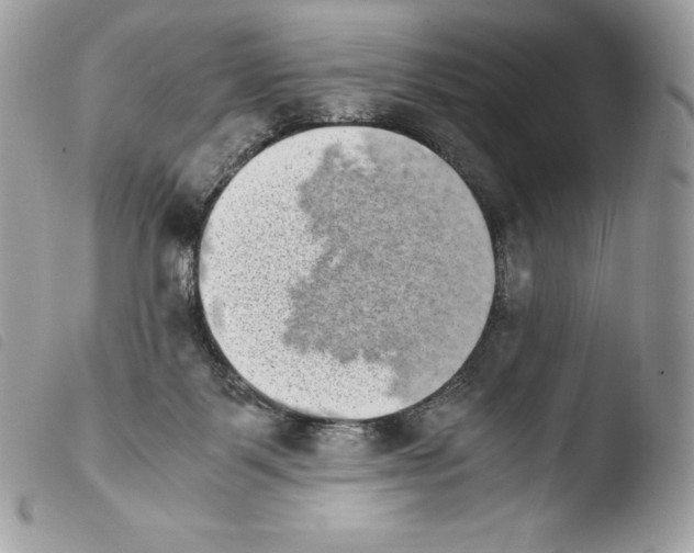 X0000103960123200810171910