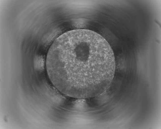 X0000103960124200810171910