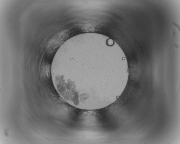X0000103960125200810171910
