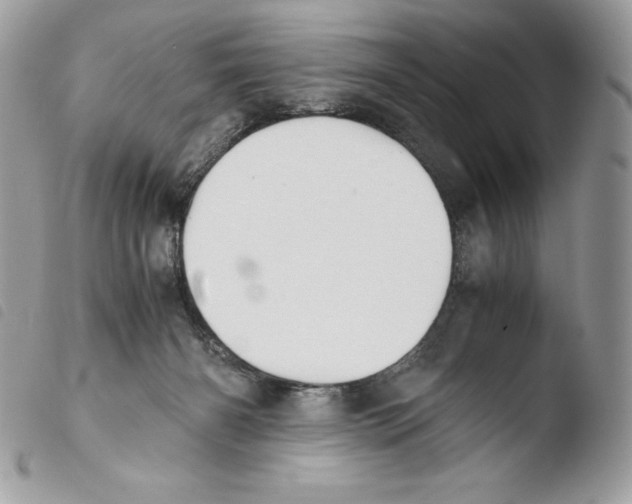 X0000103960126200810171910