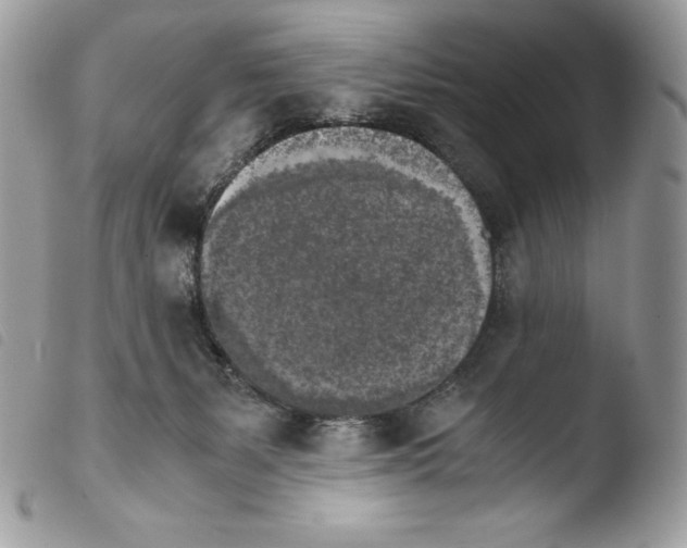 X0000103960127200810171910