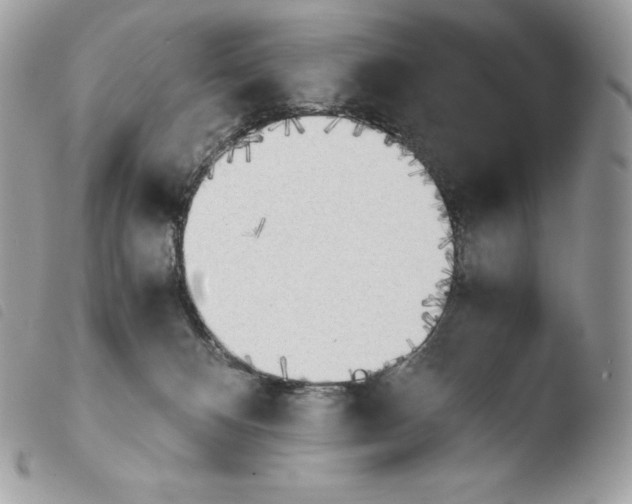 X0000103960128200810171910