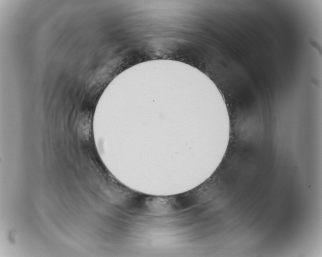 X0000103960129200810171910