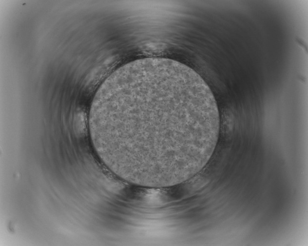 X0000103960130200810171910