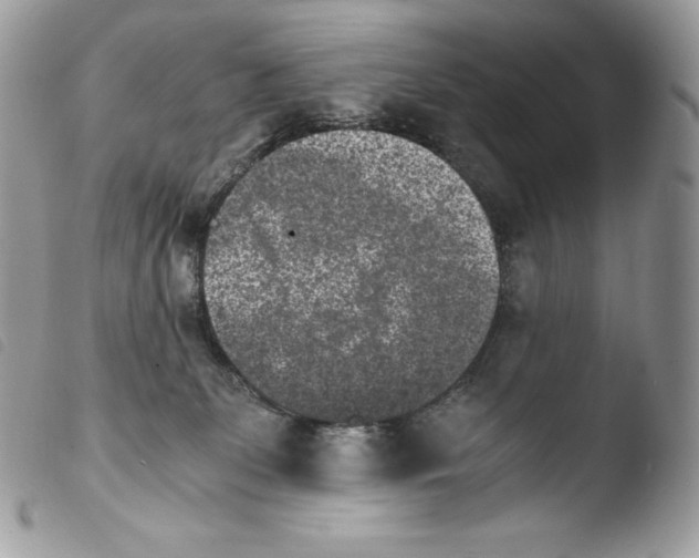 X0000103960131200810171910