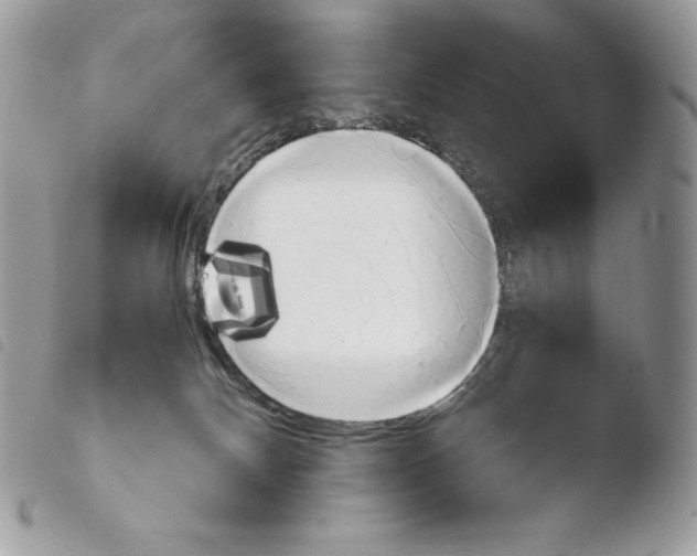 X0000103960132200810171910