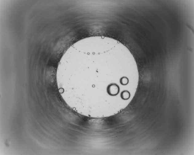 X0000103960133200810171910