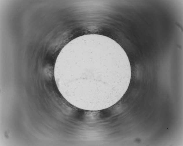 X0000103960135200810171910