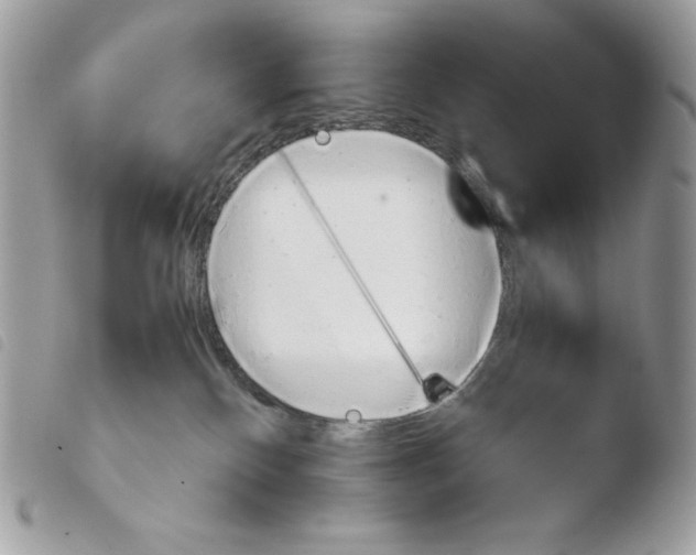X0000103960136200810171910