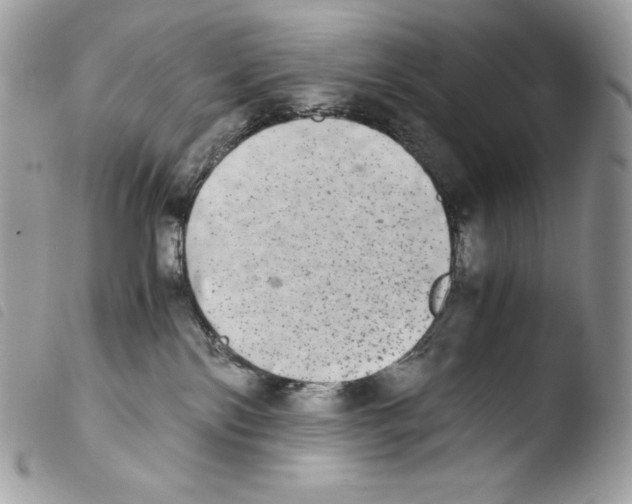 X0000103960138200810171910