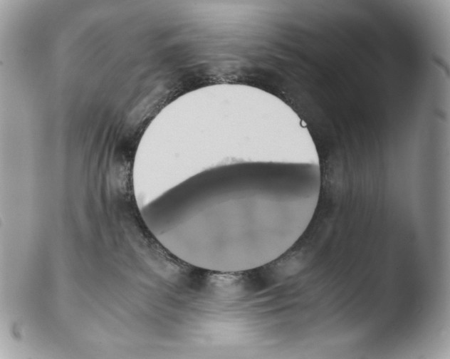 X0000103960139200810171910