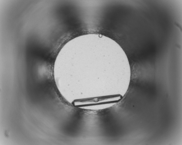 X0000103960140200810171910