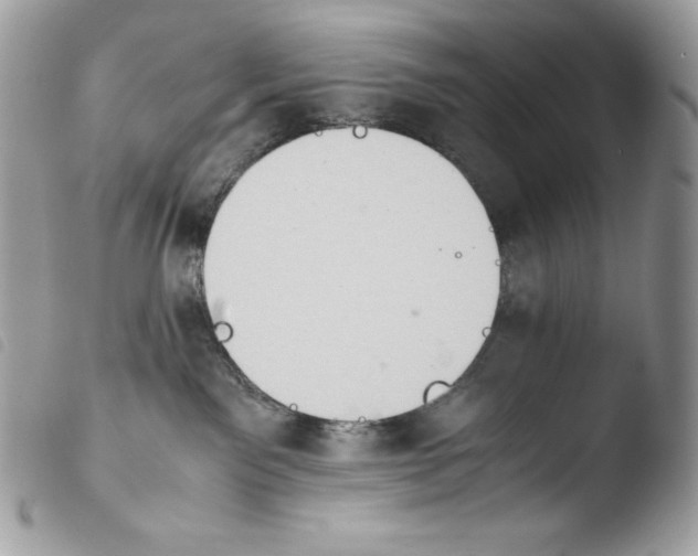 X0000103960141200810171910