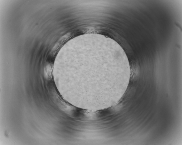 X0000103960142200810171910