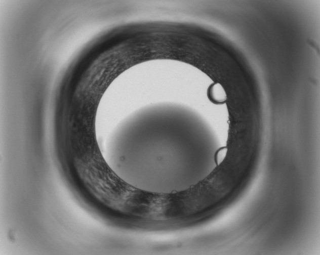 X0000103960143200810171910