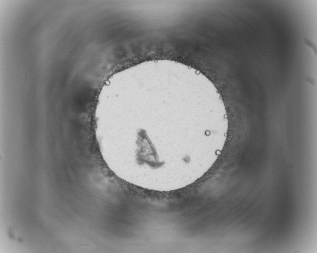 X0000103960144200810171910