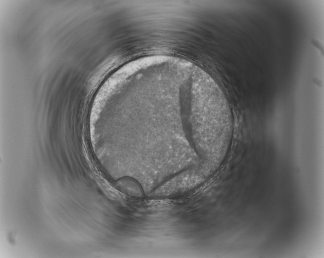 X0000103960145200810171909