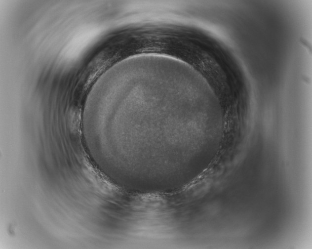 X0000103960146200810171909
