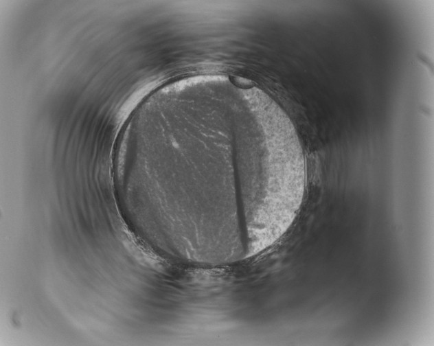 X0000103960147200810171909