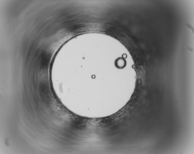 X0000103960148200810171909