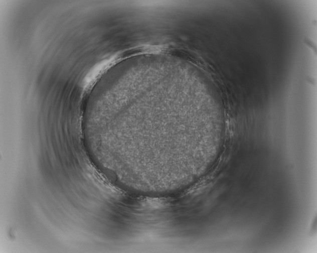 X0000103960149200810171909