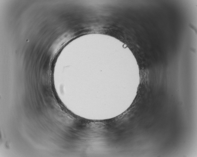 X0000103960150200810171909