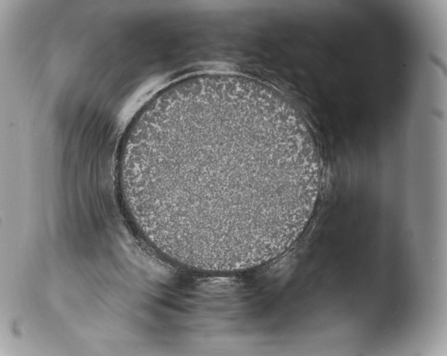 X0000103960151200810171909
