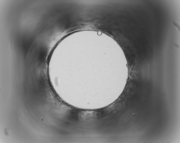 X0000103960152200810171909