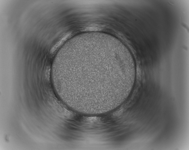 X0000103960153200810171909