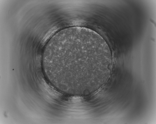 X0000103960154200810171909