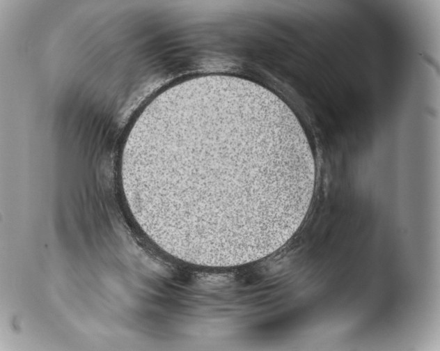 X0000103960155200810171909