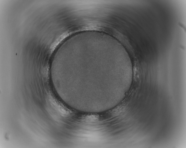 X0000103960156200810171909