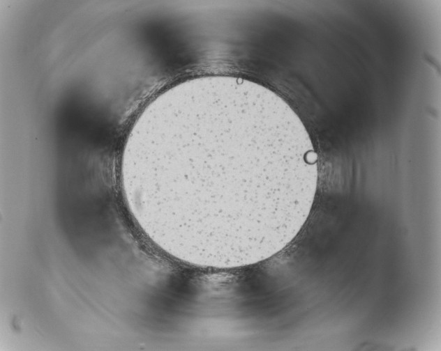 X0000103960158200810171909