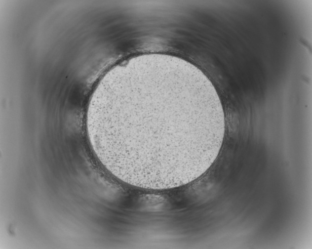 X0000103960159200810171909