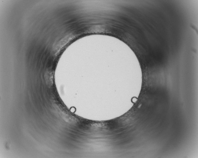 X0000103960160200810171909