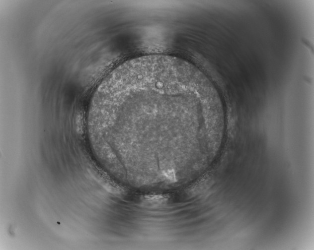 X0000103960161200810171910