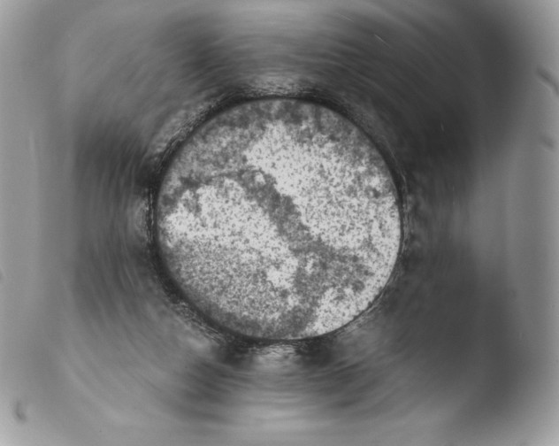 X0000103960162200810171910