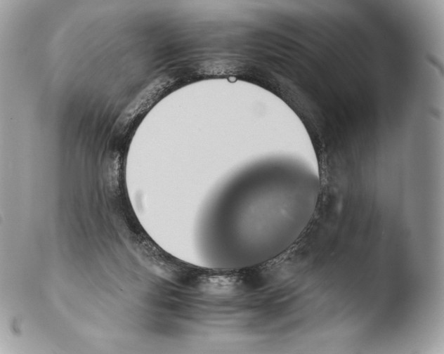 X0000103960163200810171910