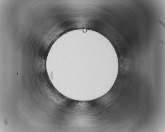 X0000103960164200810171910