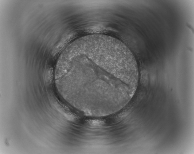 X0000103960165200810171910