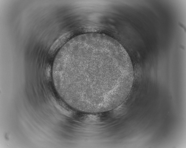 X0000103960166200810171910