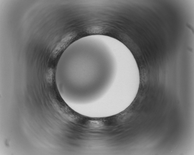 X0000103960167200810171910