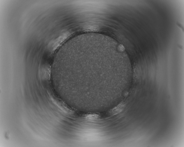 X0000103960168200810171910