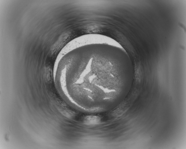 X0000103960169200810171910