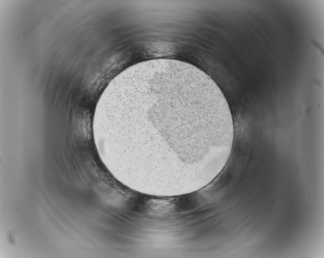 X0000103960170200810171910